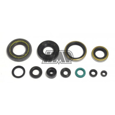 Jogo retentores motor KAWASAKI KX 250 1995-2004 - ATHENA